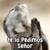 Persy te lo Pedimos Señor