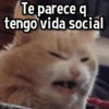 Gatitos pa tu Wsp😼🫰🏻 9