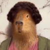 Capibara Random 🍉 21
