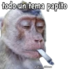 Monos y frases 💬🙊 15