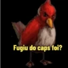 Memes Angry birds 9