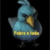 Memes Angry birds 10