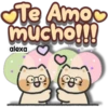 Gatito 😽 Cariñoso 13