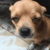 🤪 Reactions 24 😲 16