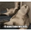 NÍVEL DE CALOR 🔥 13