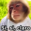 🐵🌴🙊 MONOS 🙊🌴🐵 19