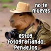 no te muevas estoy Persy fotografiando PendeJos