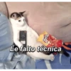 Papaya 2.0 19