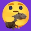 Capibara Random 🍉 23