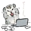 Random Meme Cat Sticker - Set 1 23