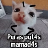 Gatitos pa tu Wsp😼🫰🏻 10
