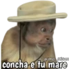 Monos y frases 💬🙊 16