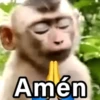 🐵🌴🙊 MONOS 🙊🌴🐵 20
