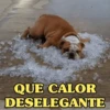 AI QUE CALOR!!!🔥🥵 13