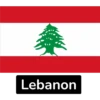 Middle East Flags 12