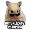 Persy ACTUALIZATE eSTÚPIDA