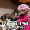 Persy esta no es la Vida que esperaba