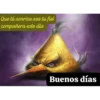 Buenos días 17