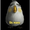 Memes Angry birds 12