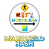 Marionelo Hash 21