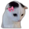 Persy