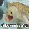 Persy sáquenme de aquí!