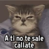 Gatitos pa tu Wsp😼🫰🏻 14