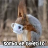 Persy "Sorbo de cafecito