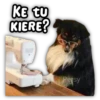 KE tu KIERE? Persy