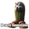🗣️ TikTok Brainrot 💀 20