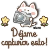 @Un gatito icónico🐱🌻 27