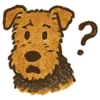 Welsh / Airedale Terrier by the Atelier Dog 10