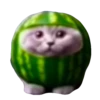 Spicy Meme Pack 1 24