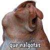 Monos y frases 💬🙊 17