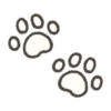 animals cute photo sticker 25