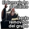 El Consejo ha Decidido Patric 17