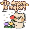 Gatito 😽 Cariñoso 19