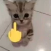 Emotional Damage Cat Sticker 28