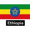 African Flags-1 24