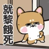 柴狗君-返工係我本份 13