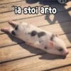 ia stoi arto Persy