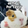 deme 2, Por favor Persy