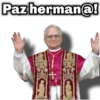 papa león XIV 21