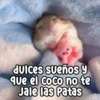 Persy Juices sueños y que el coco no te Jale las Patas