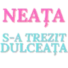 Discord Emojis Romania 8