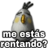 Memes Angry birds 🕳️🐦😶‍🌫️ 25