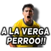 América 👑⚽ 29