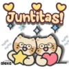 Gatito 😽 Cariñoso 22