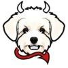 Teddy 5