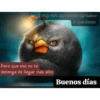 Buenos días 24